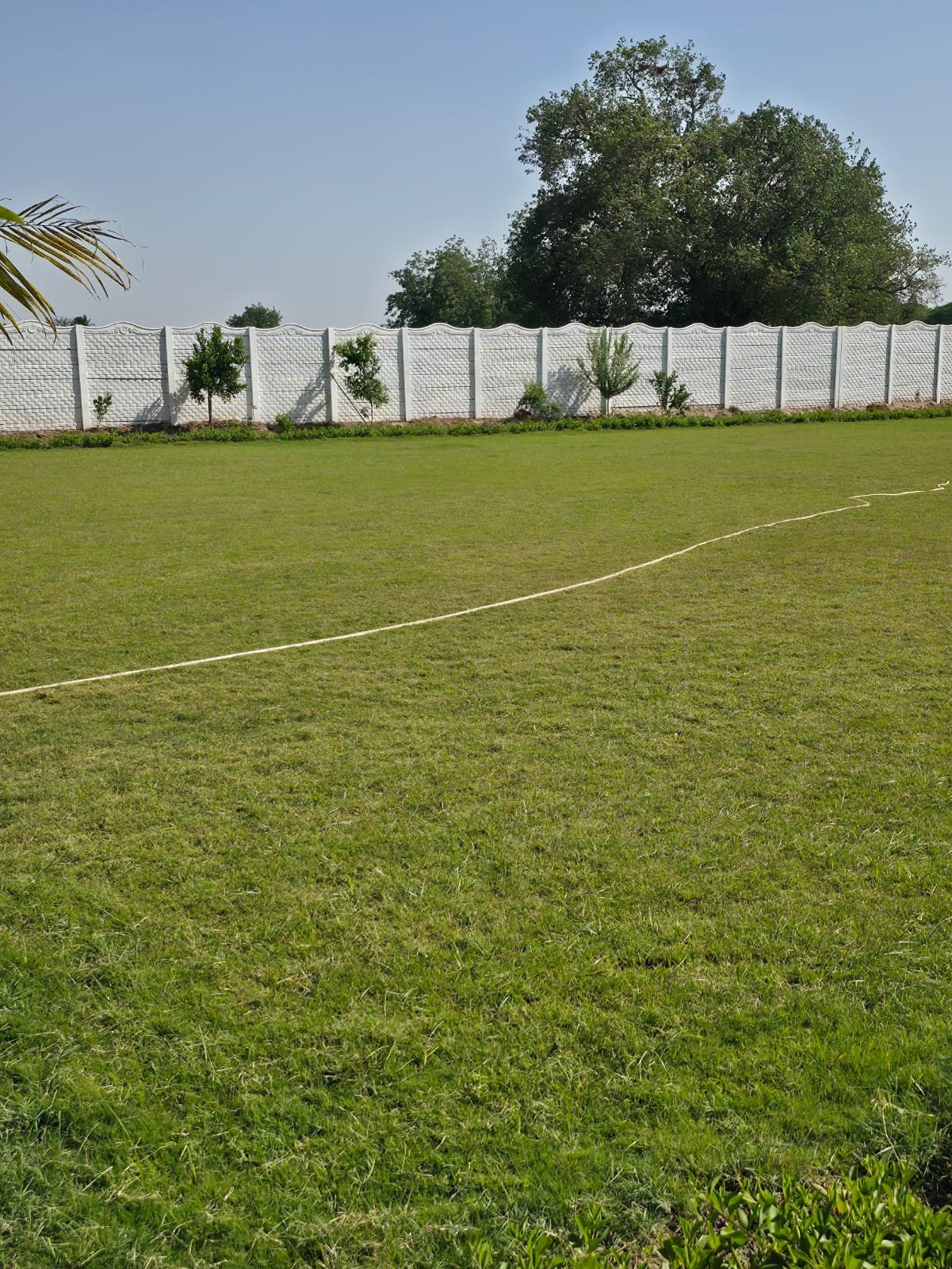 Lawn